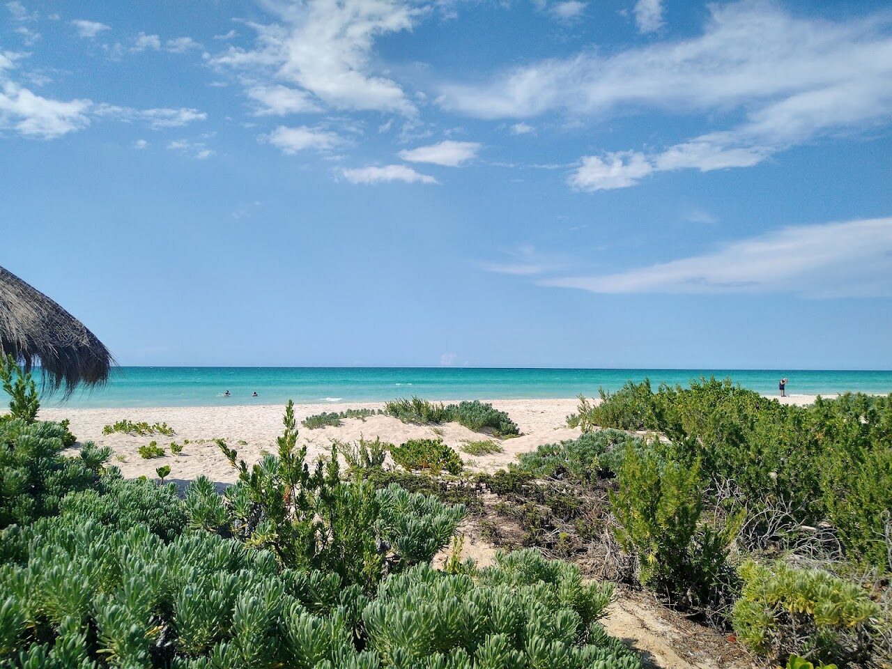Playa Sisal