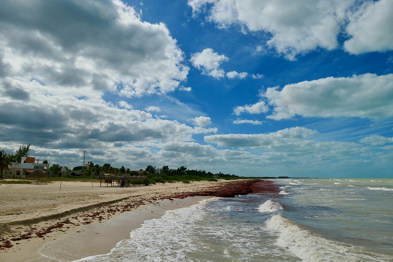 Excursiones desde Mérida a Sisal Yucatán · Guía del día perfecto 2026